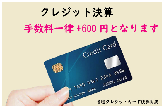 【クレジットカード手数料+600円】